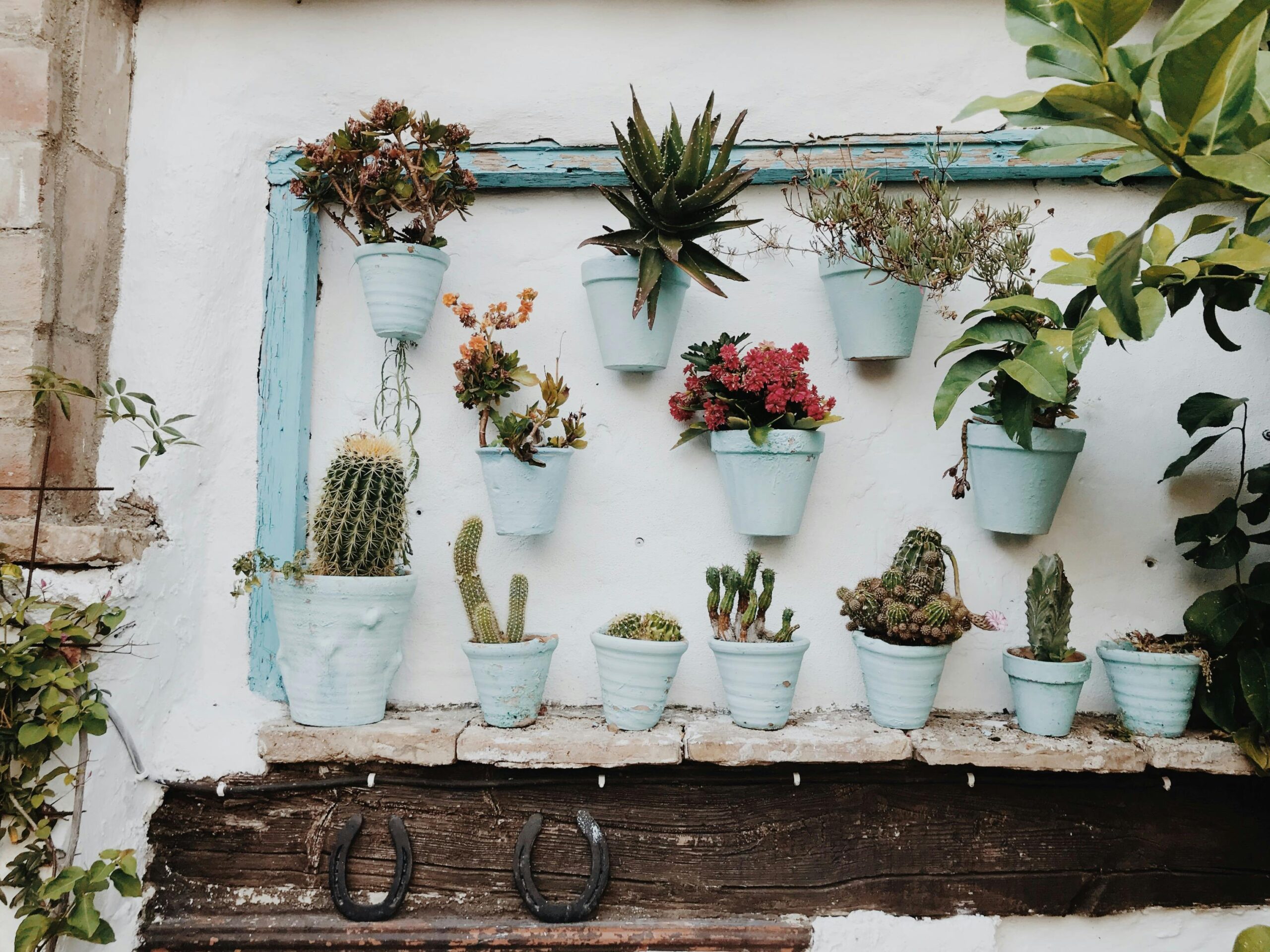 indoor plant-garden learner