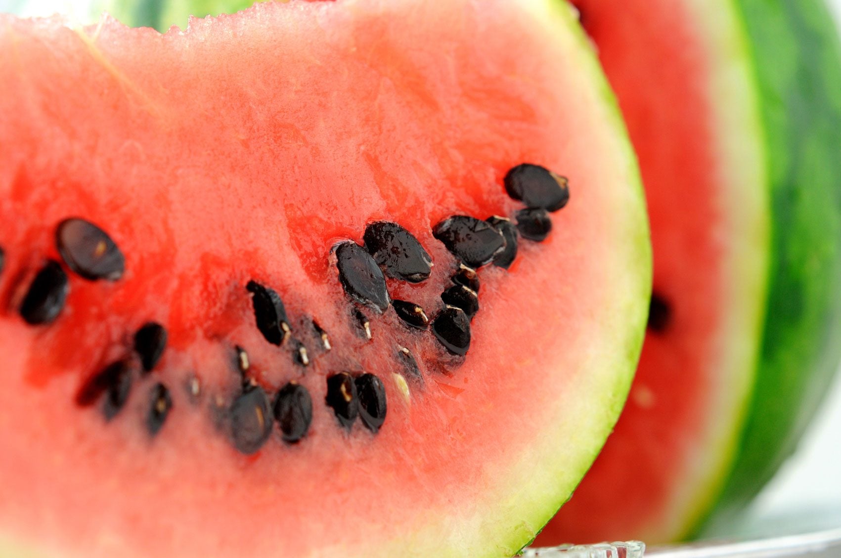 watermelon-garden learner